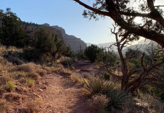 Sunrise on hiking trail near Mii amo