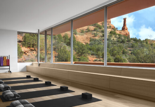 yoga mats lined up on floor with views of Kachina Women in Mii amo Fitness Studio
