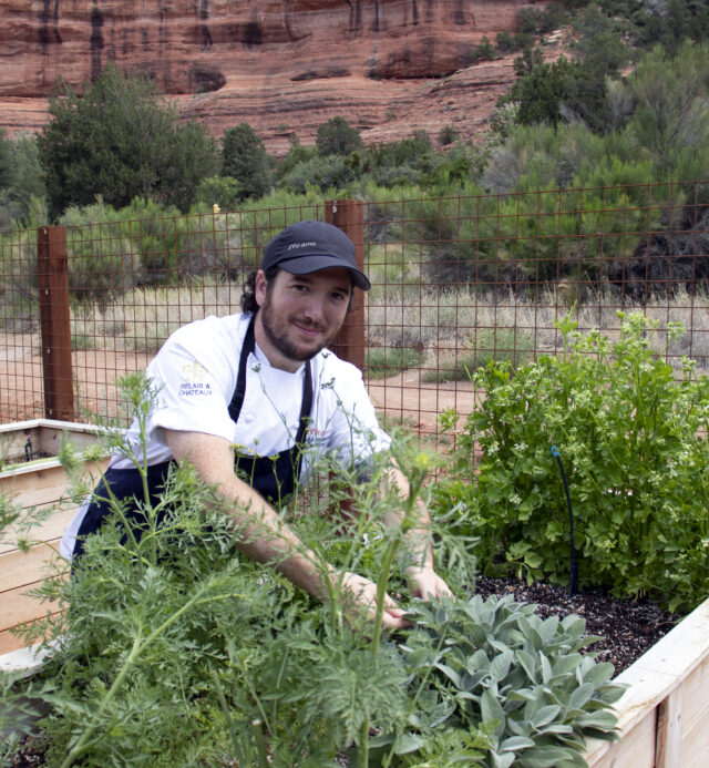 Chef in the garden