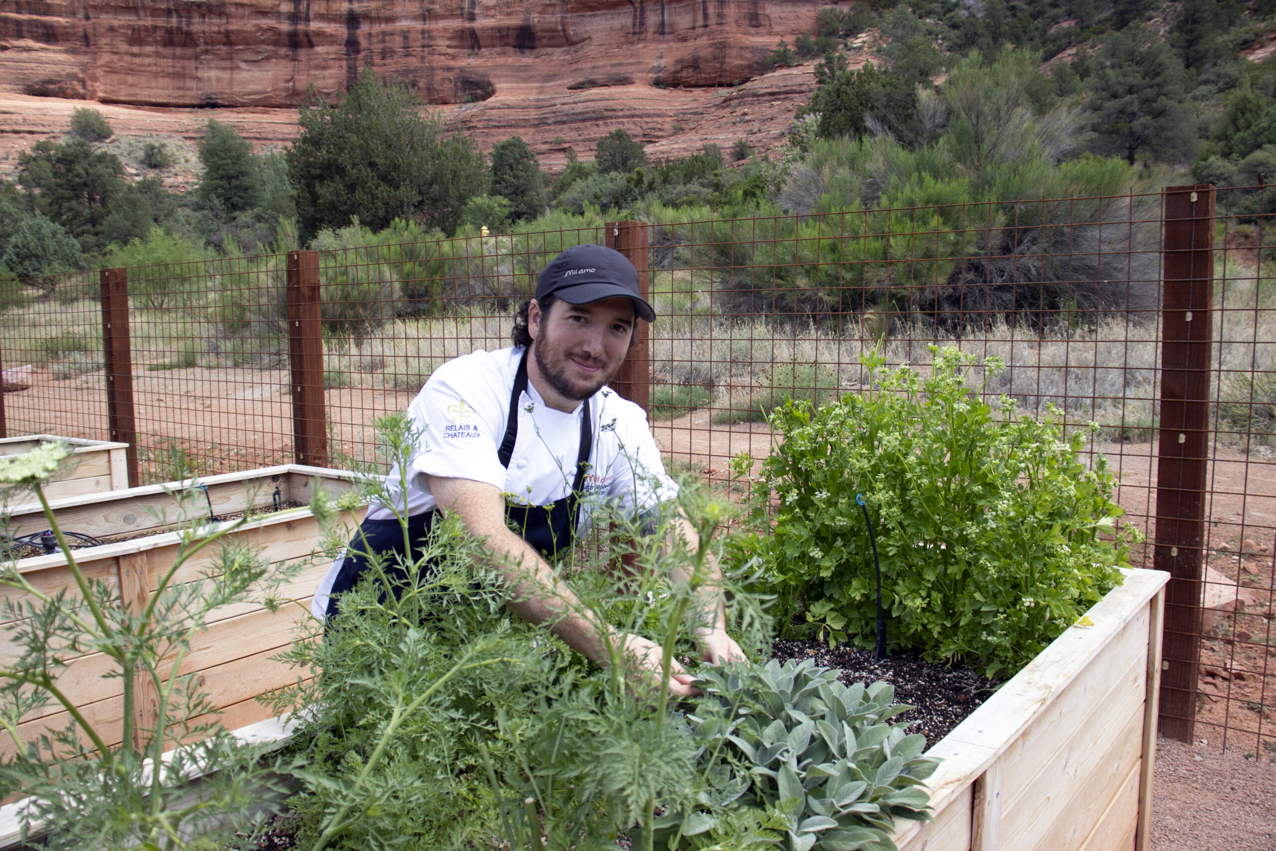 Chef in the garden