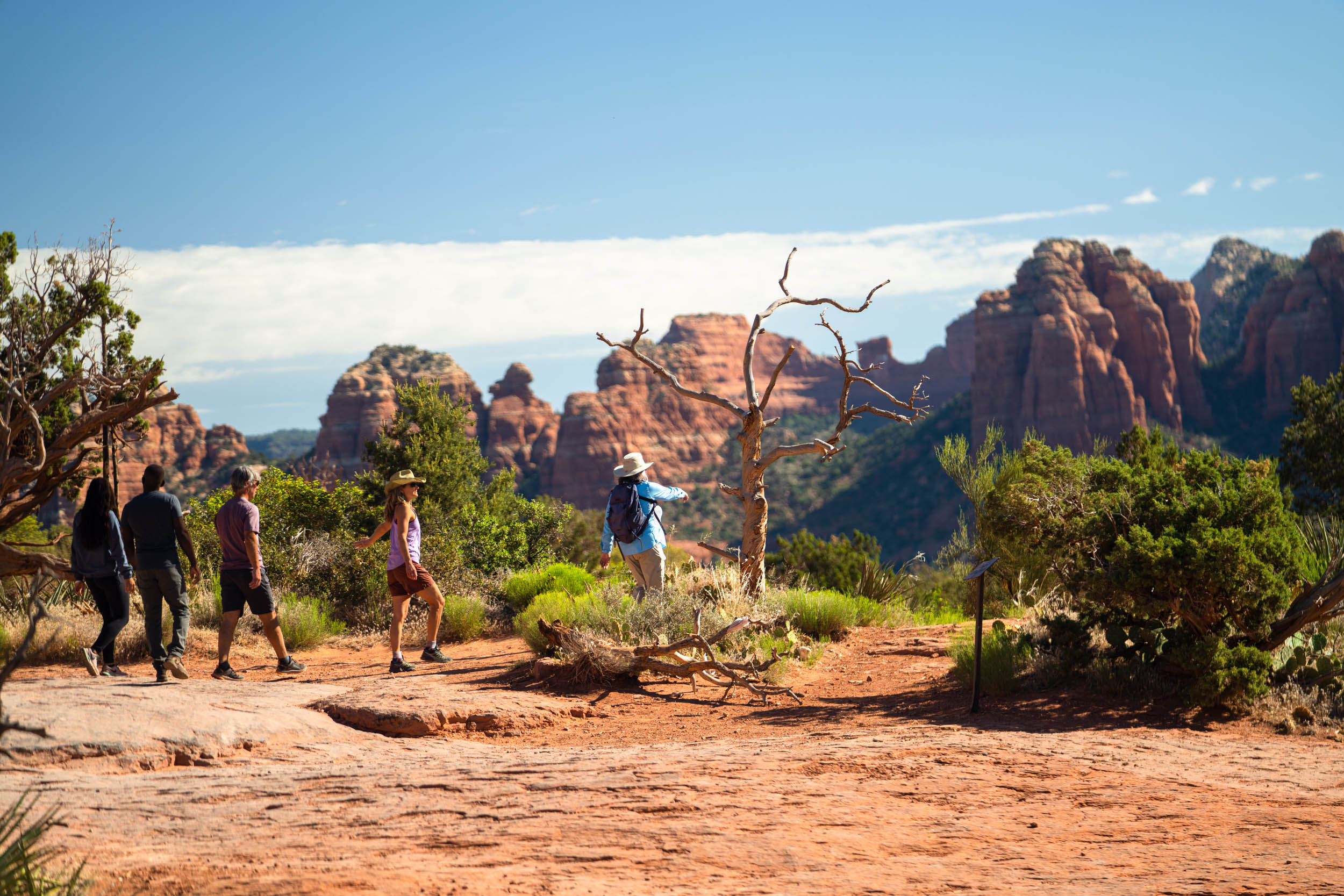 hikers on trail