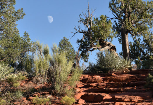 moonrise over trail