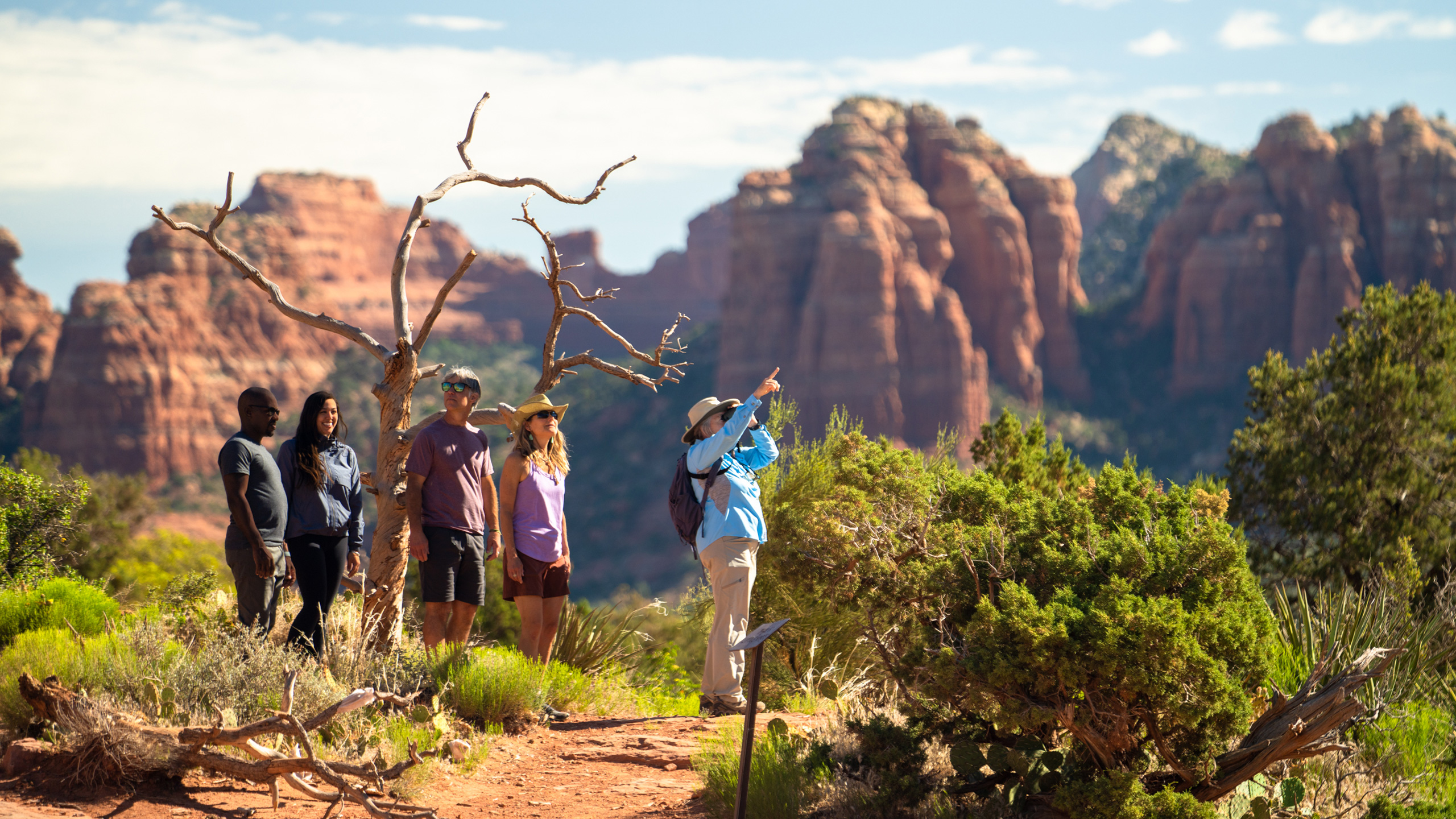 hikers on trail