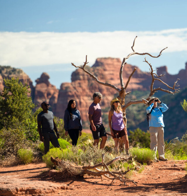 hikers on trail