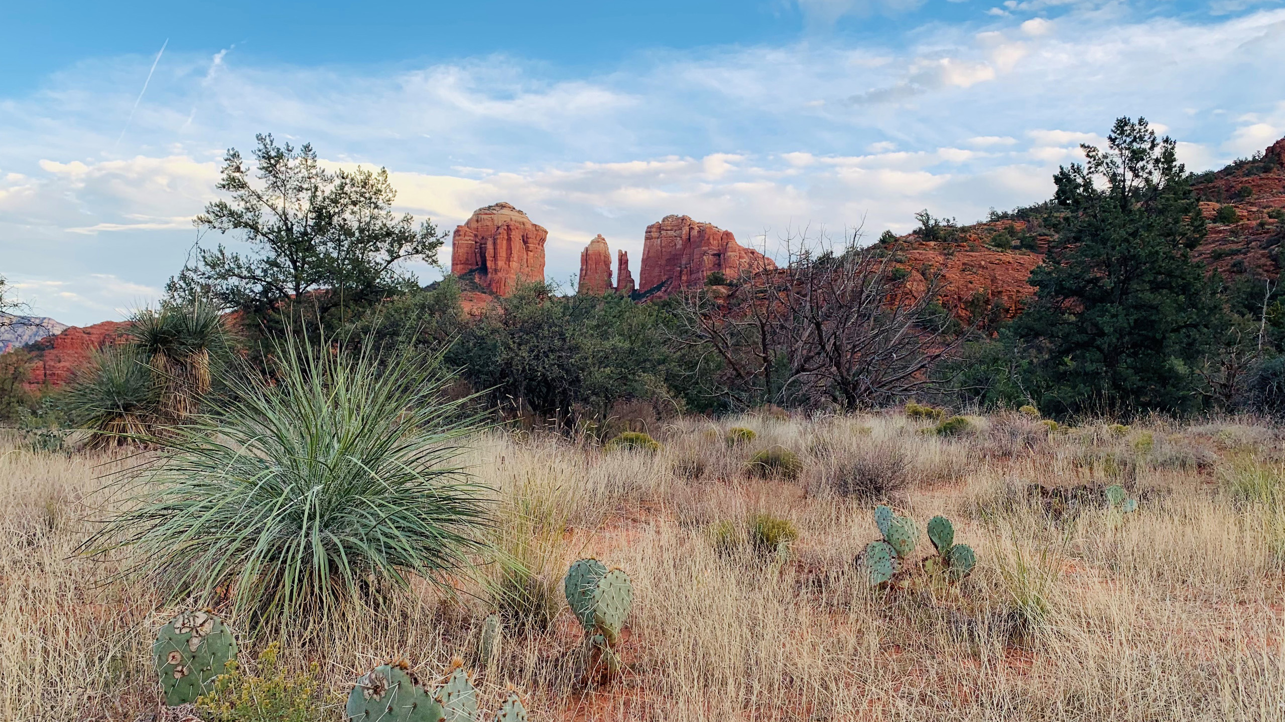 Cathedral Rock Vortex Hike in Sedona