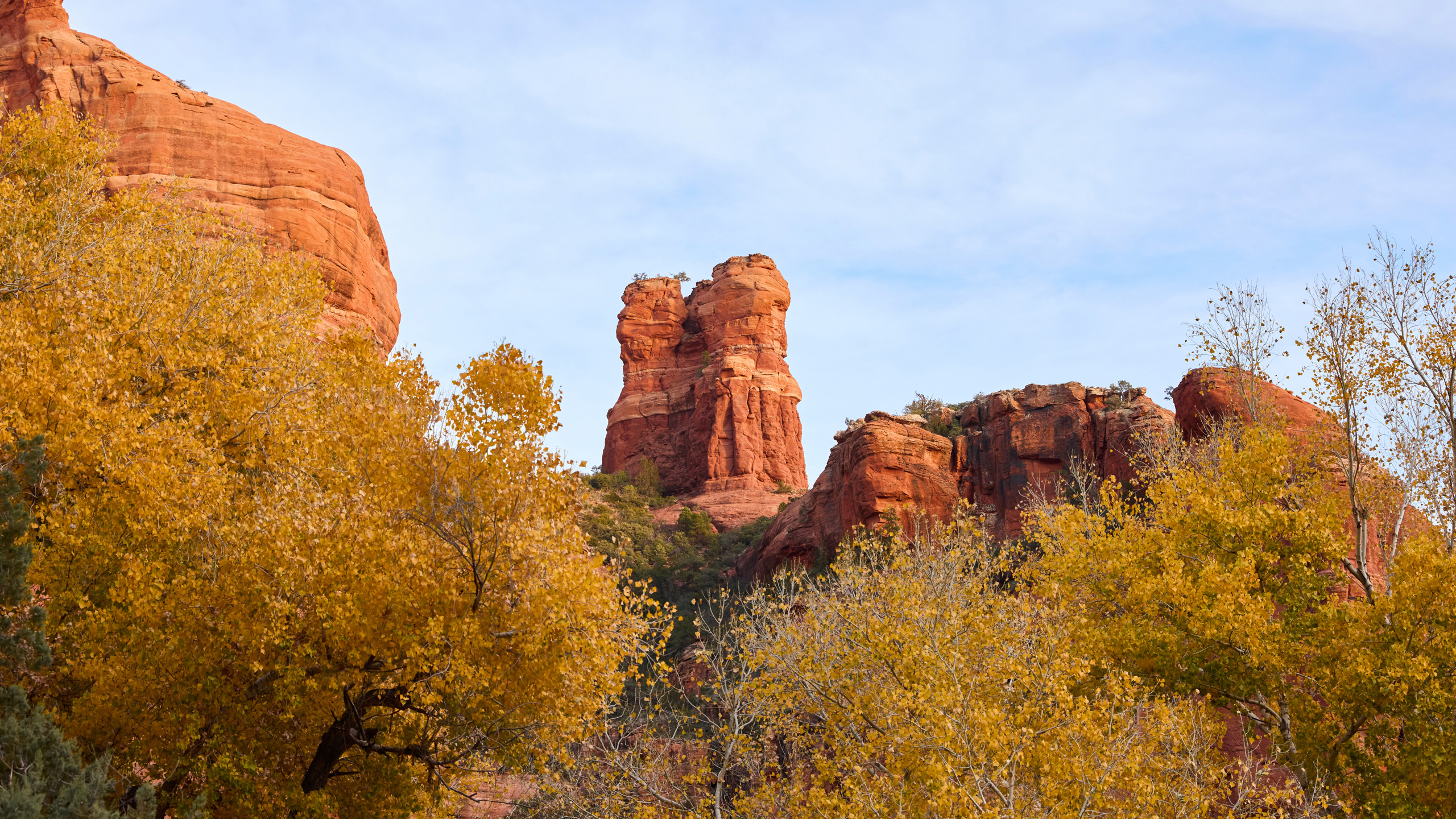 yellow leaves and red rock formations