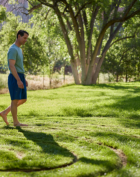 labyrinth walk in grass