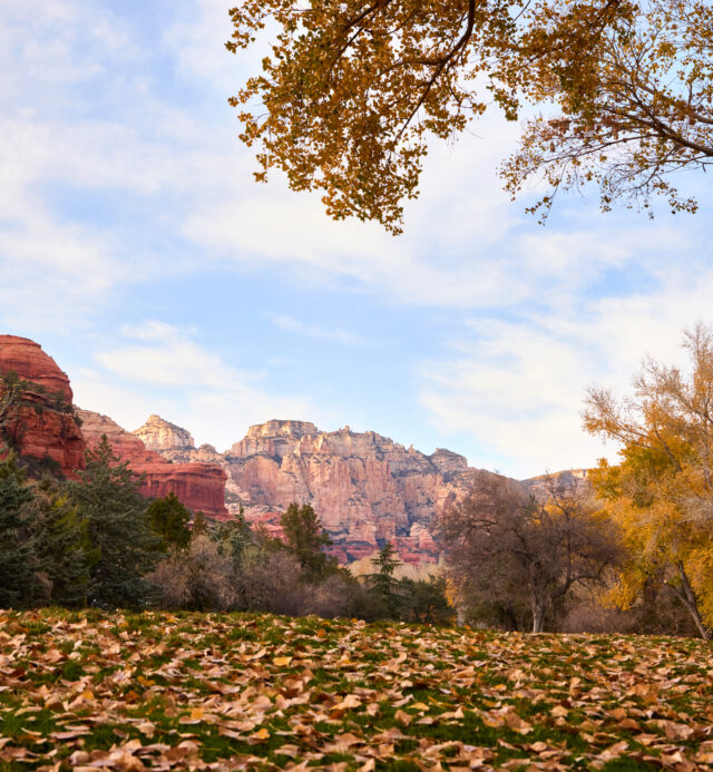 fall colors in boynton canyon
